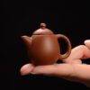 creative-ceramic-mini-yixing-teapot-tea-pet-1