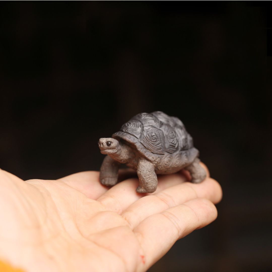 Cute Little Turtle Tea Pet - China Tea Spirit