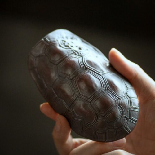 clay turtle shell