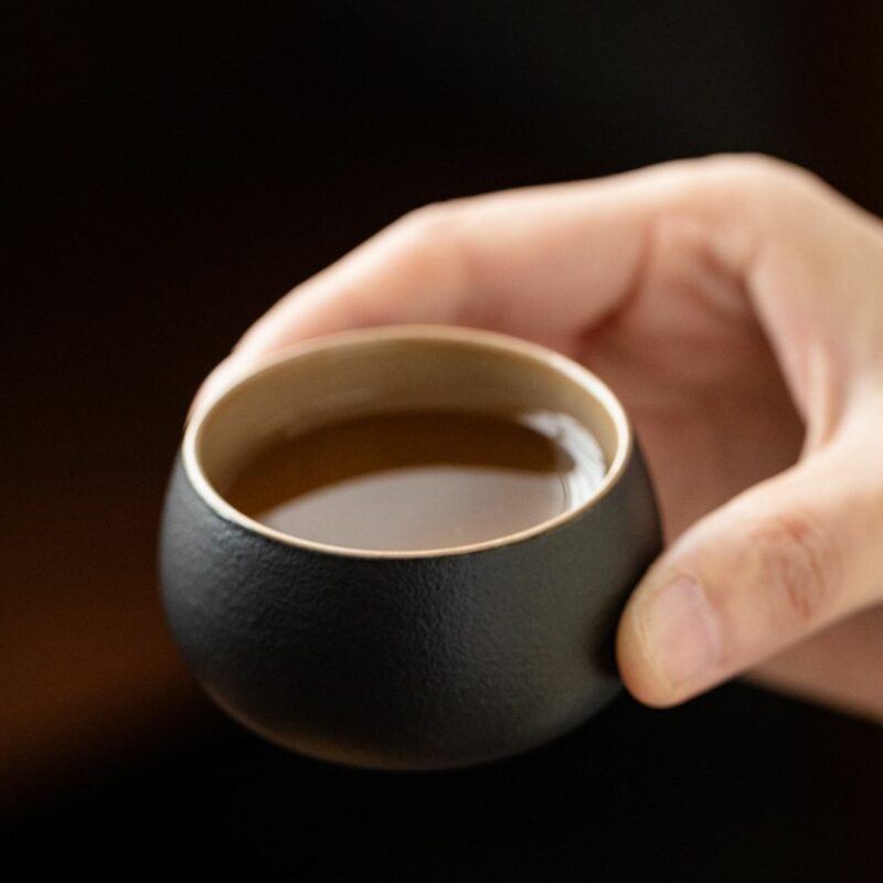 japanese-style-black-pottery-elegant-kung-fu-tea-set-with-tea-tray-4