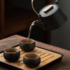 japanese-style-black-pottery-elegant-kung-fu-tea-set-with-tea-tray-5