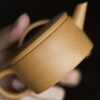 ben-shan-duanni-125ml-yixing-teapot-2