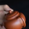 half-handmade-xiao-hong-ni-duo-zhi-140ml-yixing-teapot-10