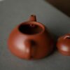 half-handmade-aged-zhuni-yu-piao-80ml-yixing-teapot-10