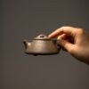 half-handmade-wood-fired-duanni-shi-piao-120ml-yixing-teapot-2