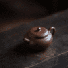 aged-zini-yuan-gu-100ml-yixing-teapot-1