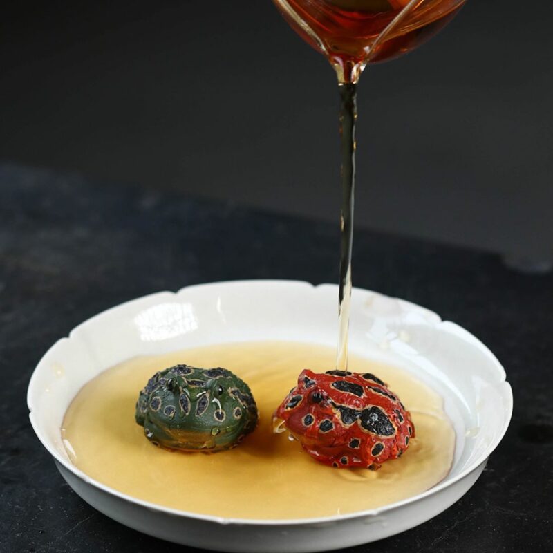 handmade-zisha-yixing-clay-horned-frog-tea-pet-9