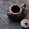 half-handmade-elegant-zini-shen-xi-jing-lan-120ml-yixing-teapot-8