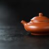 half-handmade-zhuni-mini-pan-hu-yixing-teapot-11