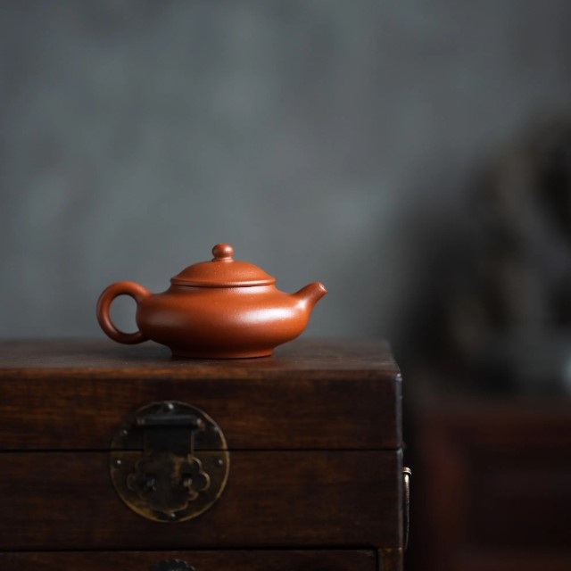 half-handmade-zhuni-mini-pan-hu-yixing-teapot-5
