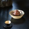 half-handmade-zhuni-pan-hu-100ml-yixing-teapot-6