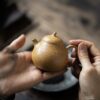 half-handmadecarved-decoration-golden-duanni-eggplant-140ml-yixing-teapot-2