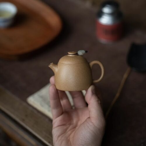 half-handmade-duanni-fei-hong-qin-quan-90ml-yixing-teapot-4