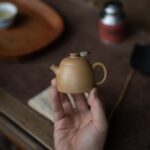 Duanni Fei Hong Qin Quan 90ml Yixing Teapot